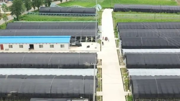长乐漳县扶贫协作助农脱贫致富 长乐漳县扶贫协作助农脱贫致富