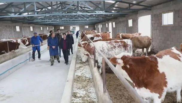 长乐漳县扶贫协作助农脱贫致富 长乐漳县扶贫协作助农脱贫致富