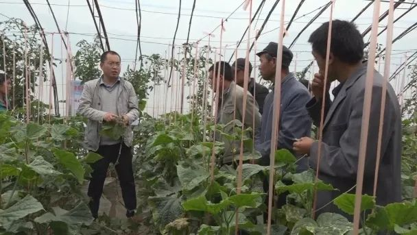长乐漳县扶贫协作助农脱贫致富 长乐漳县扶贫协作助农脱贫致富