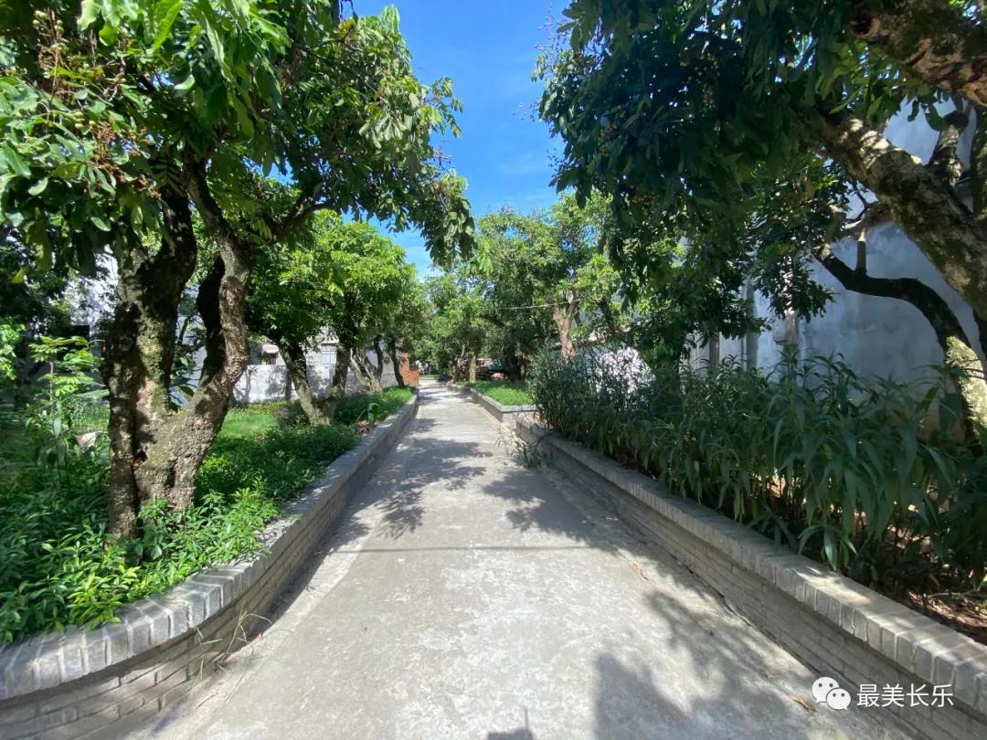 总投资近400万元!陈振龙故居一期修缮布馆工程将于本月启动 总投资近400万元!陈振龙故居一期修缮布馆工程将于本月启动