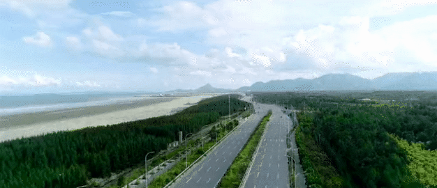 滨海新城森林城市景观带项目二期即将完工 滨海新城森林城市景观带项目二期即将完工