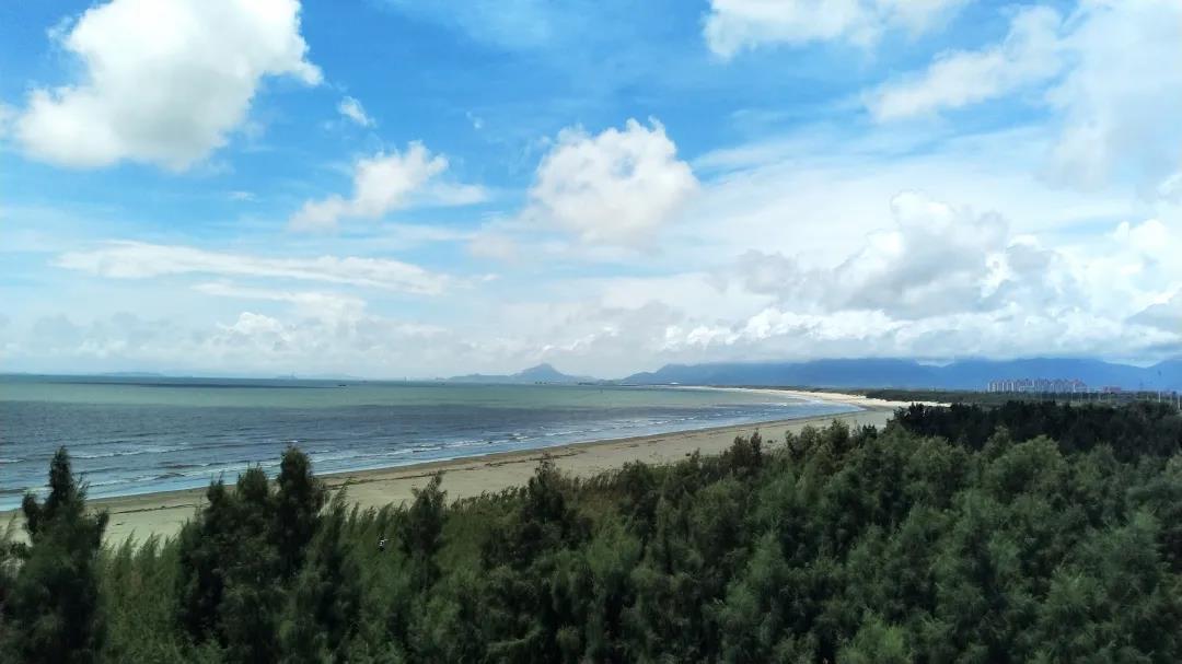 滨海新城森林城市景观带项目二期即将完工 滨海新城森林城市景观带项目二期即将完工