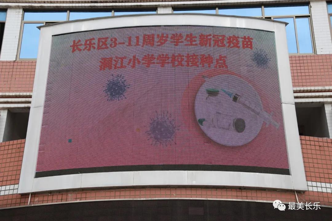 我区持续开展3-11岁在校学生新冠疫苗接种 我区持续开展3-11岁在校学生新冠疫苗接种