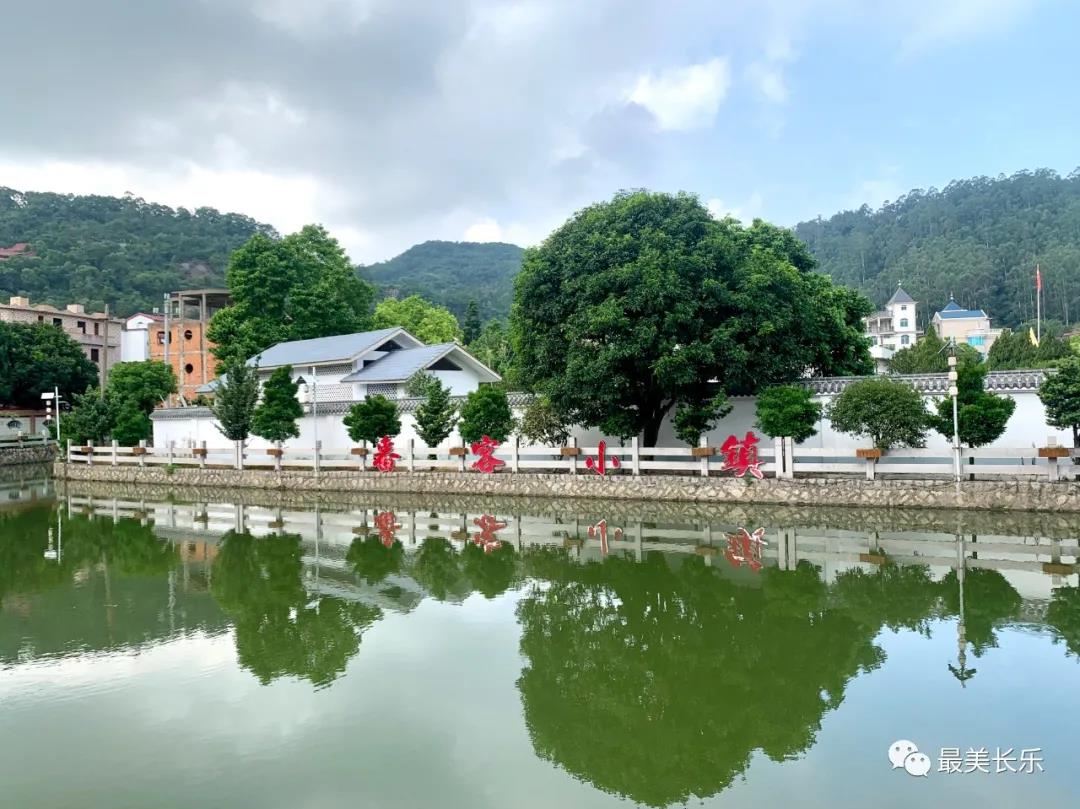 全市实施乡村振兴战略暨农村建设品质提升工作推进会召开 全市实施乡村振兴战略暨农村建设品质提升工作推进会召开