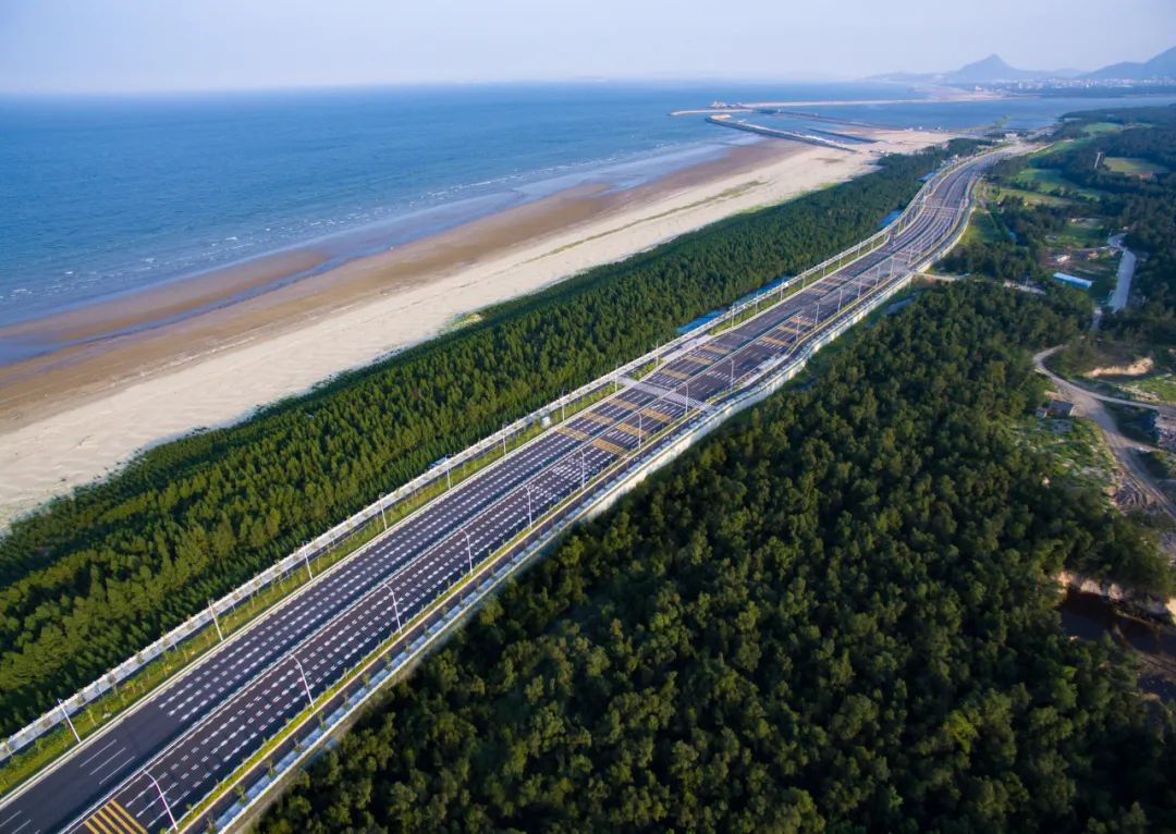 第三个“一百米”!我区开展沿海防护林植树活动 第三个“一百米”!我区开展沿海防护林植树活动