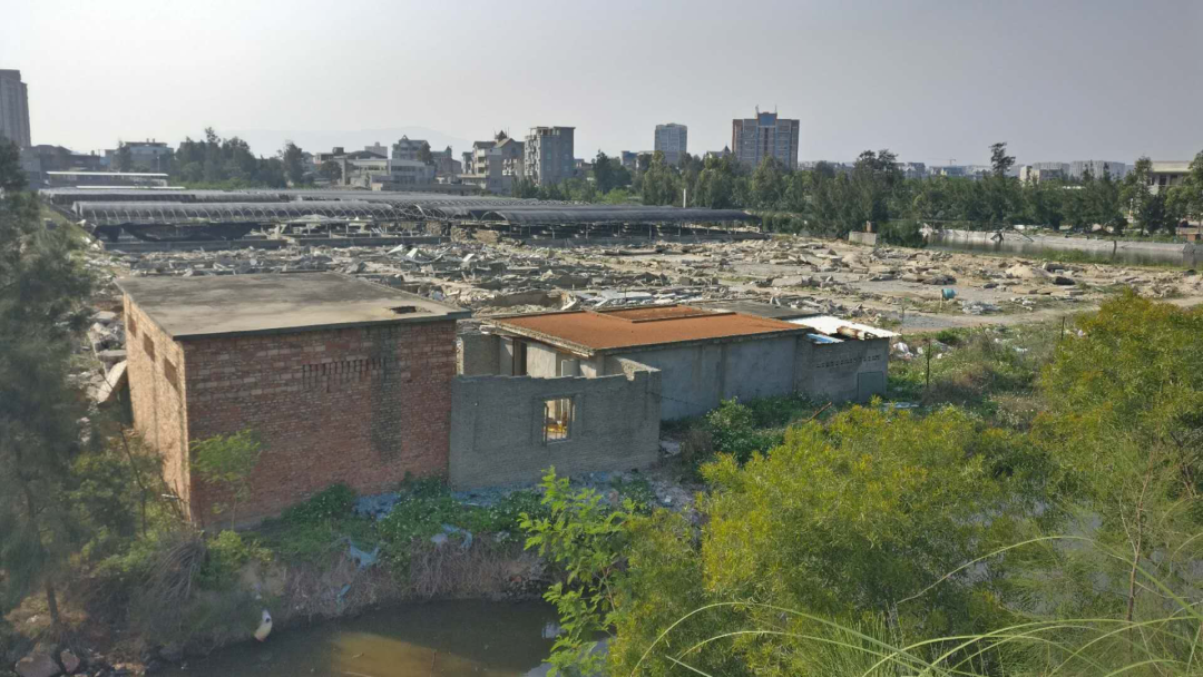 长乐:碧海松涛相依偎 生态屏障入画来 长乐:碧海松涛相依偎 生态屏障入画来