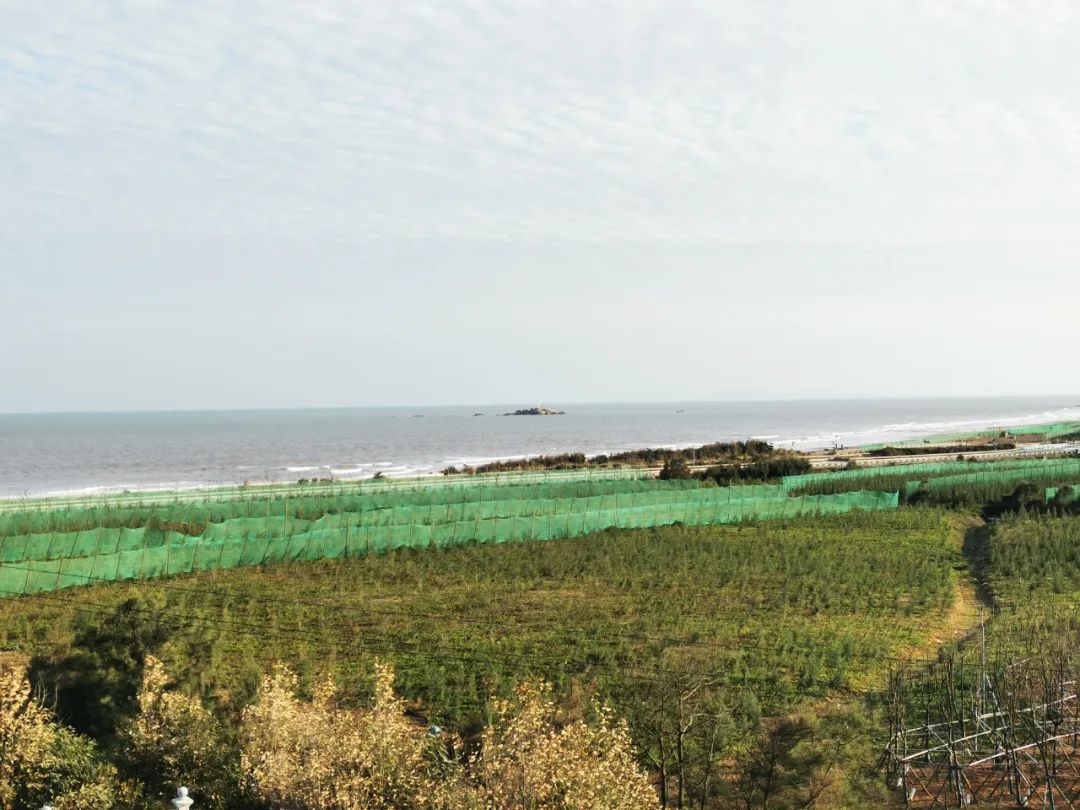 长乐:碧海松涛相依偎 生态屏障入画来 长乐:碧海松涛相依偎 生态屏障入画来