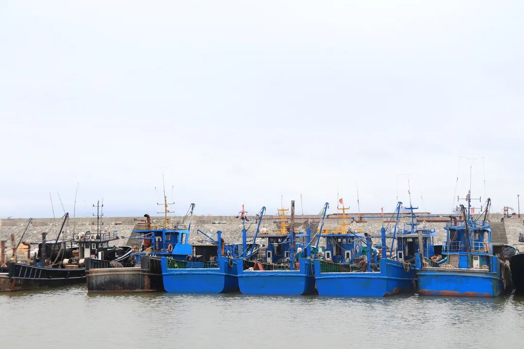 壮观!渔船回港“排排坐”,是因为…… 壮观!渔船回港“排排坐”,是因为……