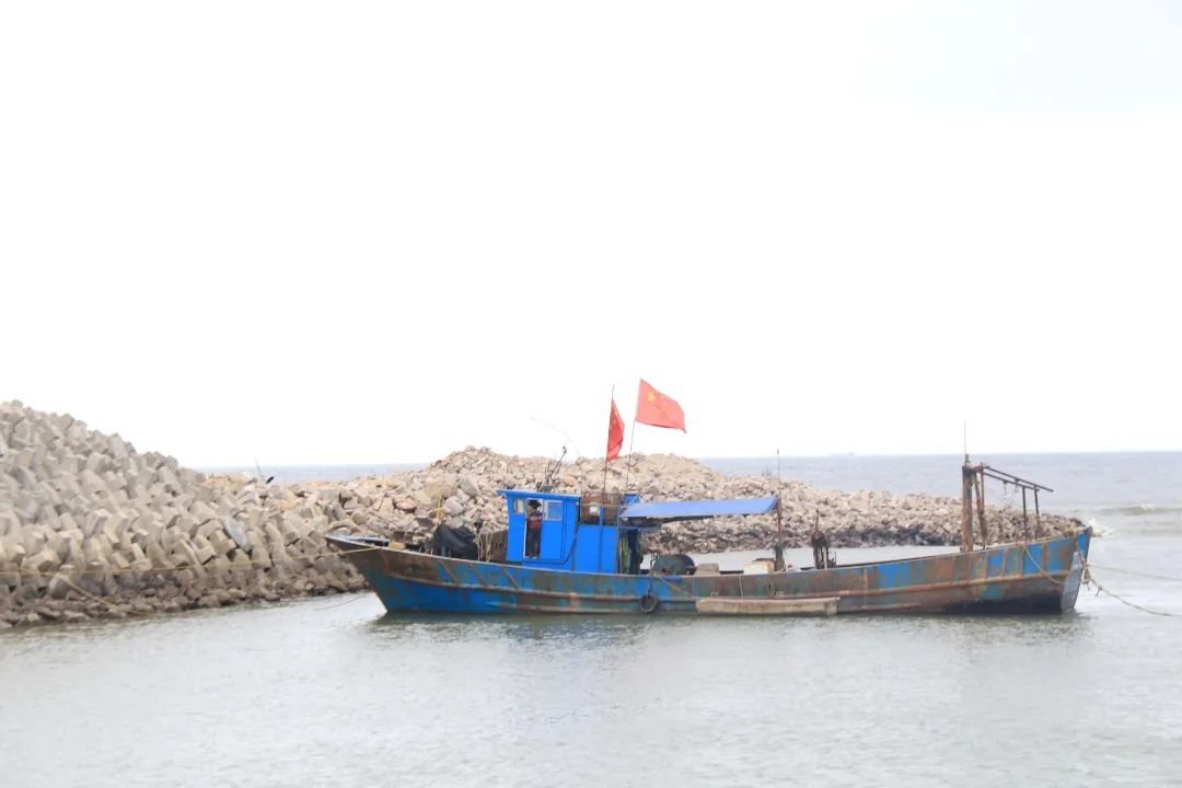 壮观!渔船回港“排排坐”,是因为…… 壮观!渔船回港“排排坐”,是因为……