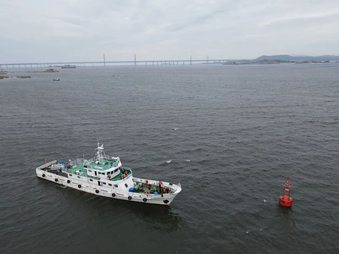 壮观!渔船回港“排排坐”,是因为…… 壮观!渔船回港“排排坐”,是因为……