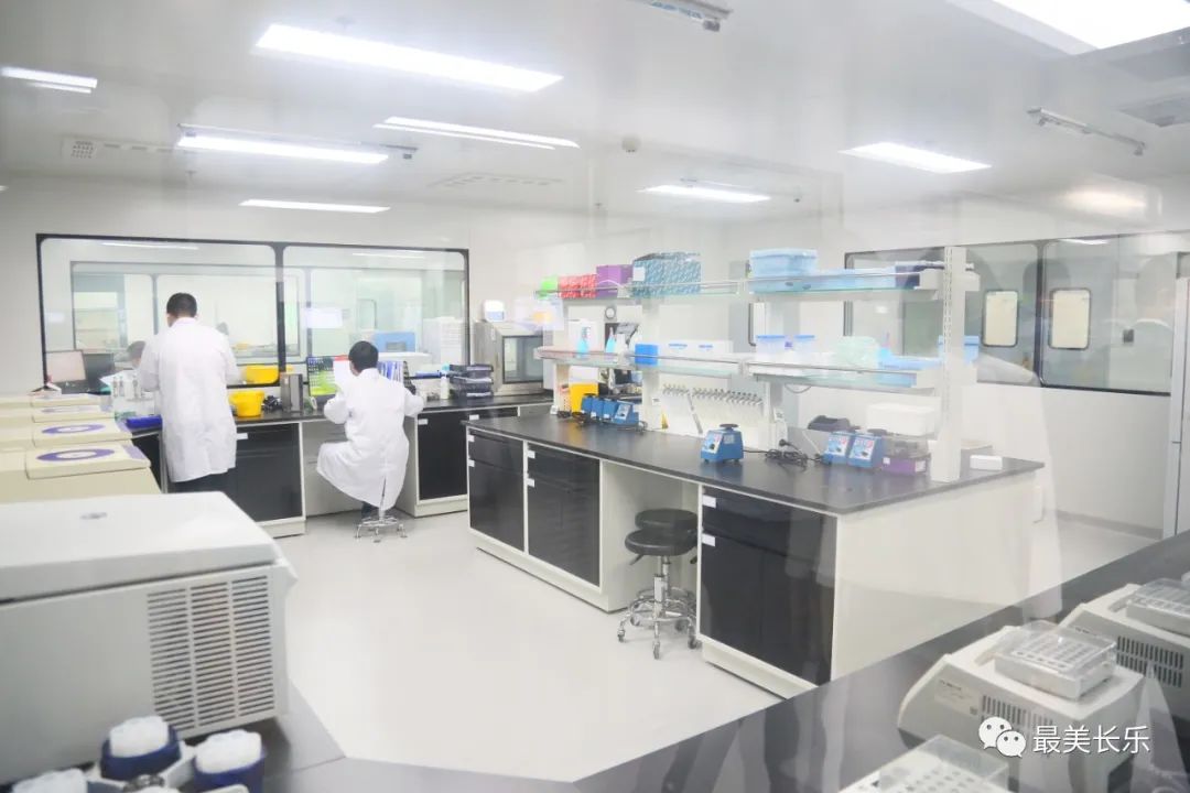 产业之花绚丽绽放!核心密码就在这…… 产业之花绚丽绽放!核心密码就在这……