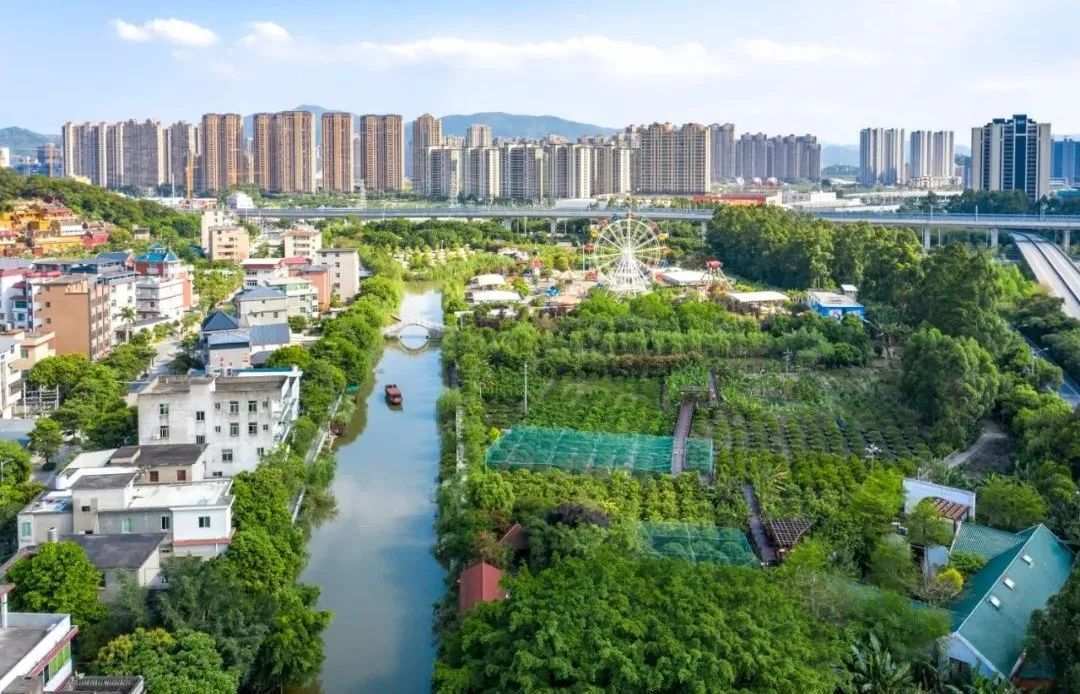 媒体记者深入一线 探访乡村振兴实效 媒体记者深入一线 探访乡村振兴实效