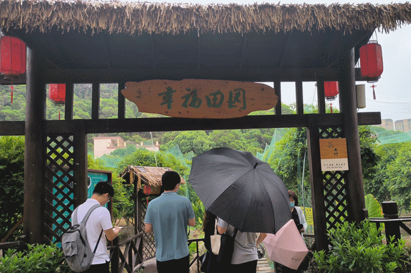 媒体记者深入一线 探访乡村振兴实效 媒体记者深入一线 探访乡村振兴实效