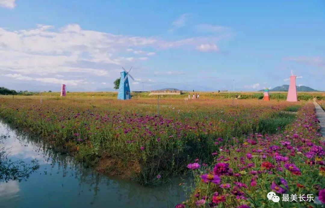 媒体记者深入一线 探访乡村振兴实效 媒体记者深入一线 探访乡村振兴实效