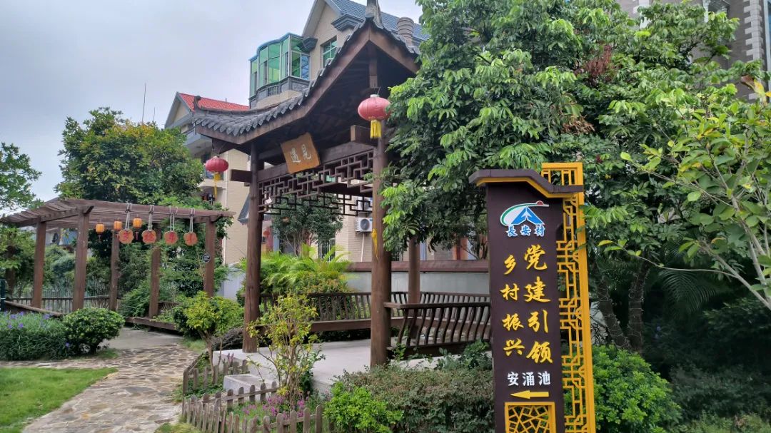 媒体记者深入一线 探访乡村振兴实效 媒体记者深入一线 探访乡村振兴实效