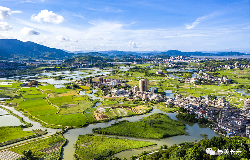 媒体记者深入一线 探访乡村振兴实效 媒体记者深入一线 探访乡村振兴实效