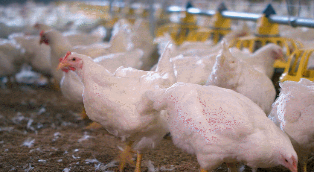 让创新“因子”释放强劲发展动能 让创新“因子”释放强劲发展动能