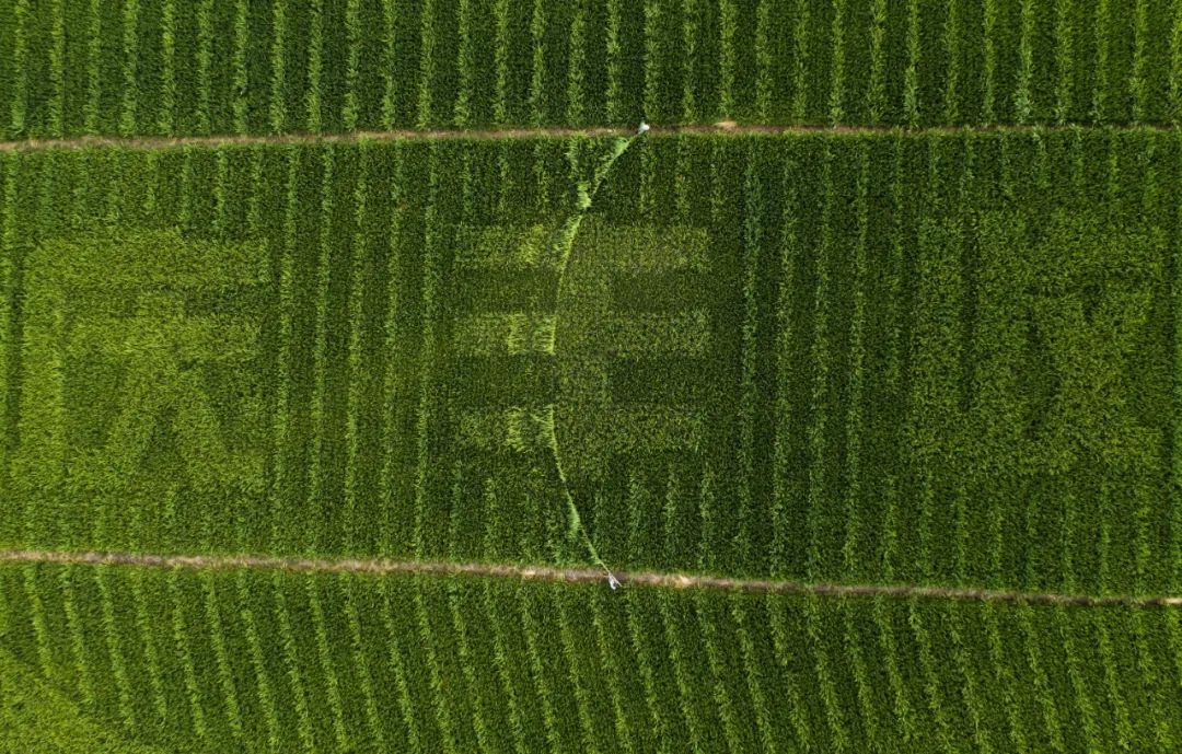 让创新“因子”释放强劲发展动能 让创新“因子”释放强劲发展动能