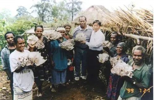 让创新“因子”释放强劲发展动能 让创新“因子”释放强劲发展动能