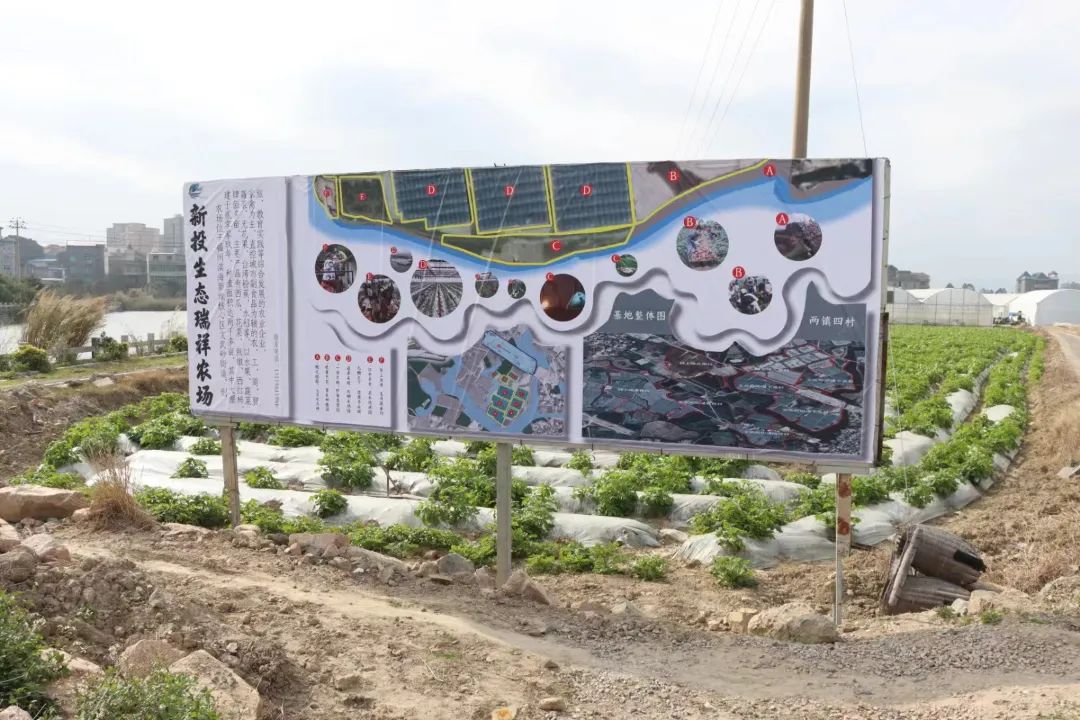 争优!争先!争效!来这里享受向往的生活! 争优!争先!争效!来这里享受向往的生活!