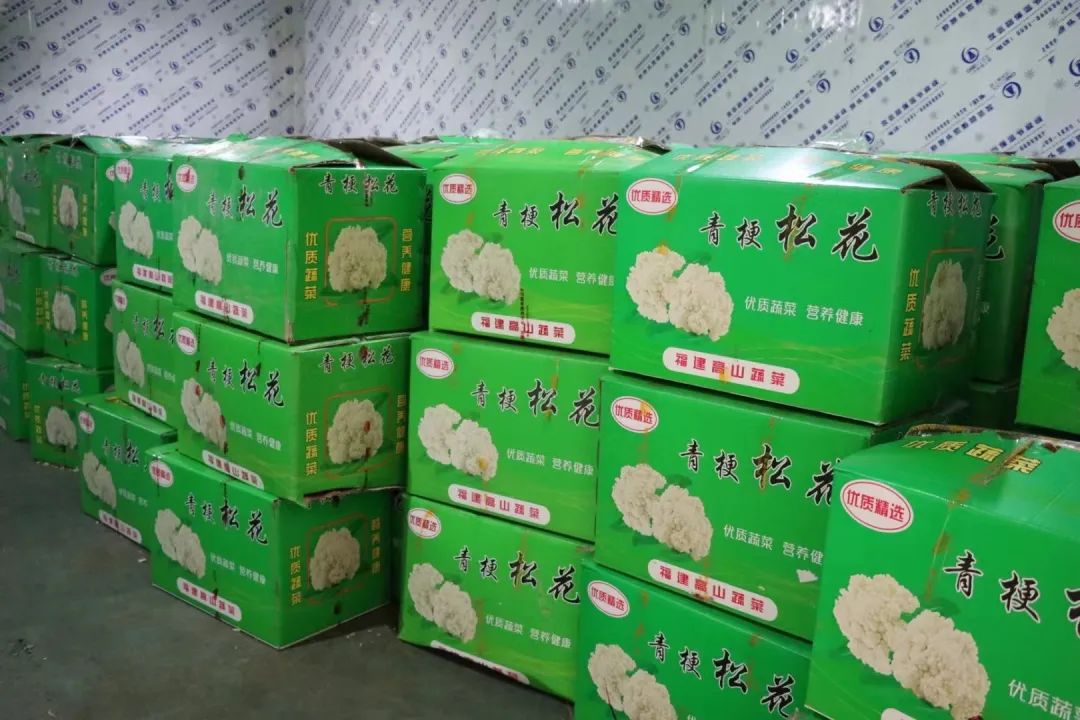 争优!争先!争效!来这里享受向往的生活! 争优!争先!争效!来这里享受向往的生活!