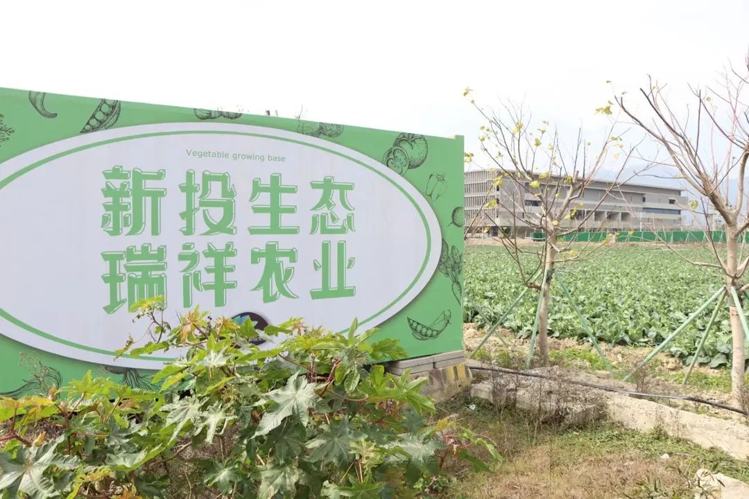 争优!争先!争效!来这里享受向往的生活! 争优!争先!争效!来这里享受向往的生活!