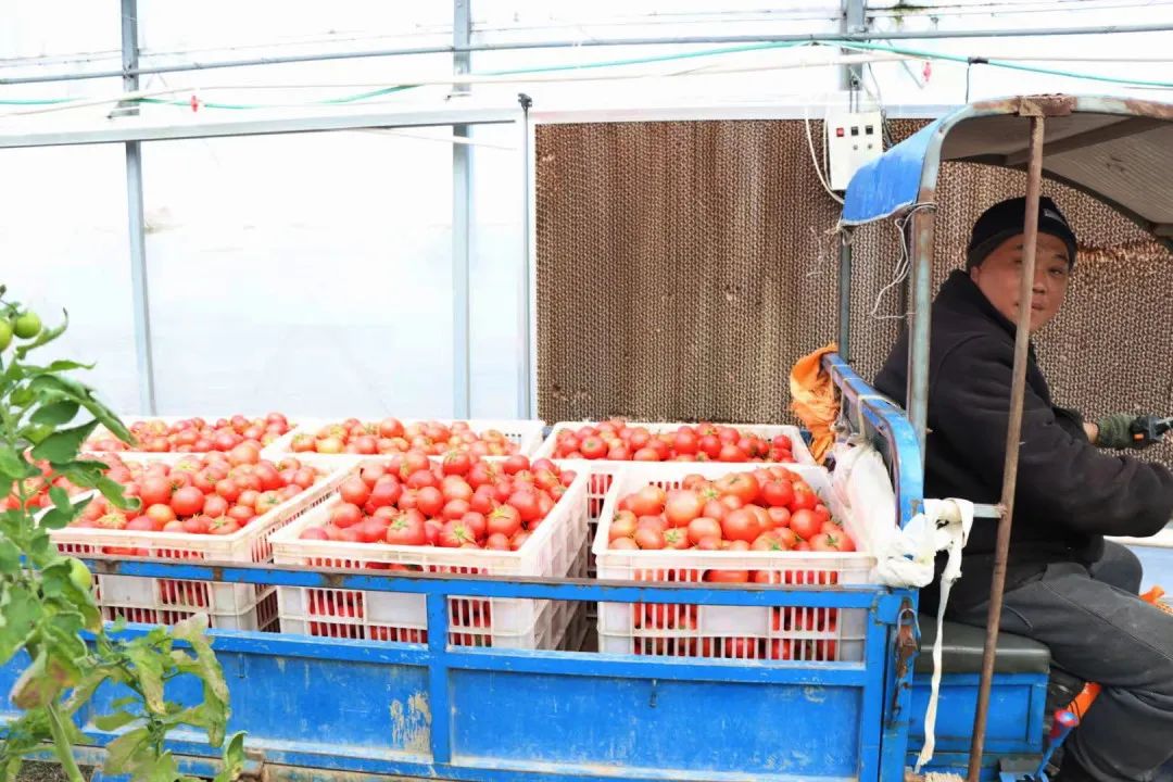 争优!争先!争效!来这里享受向往的生活! 争优!争先!争效!来这里享受向往的生活!