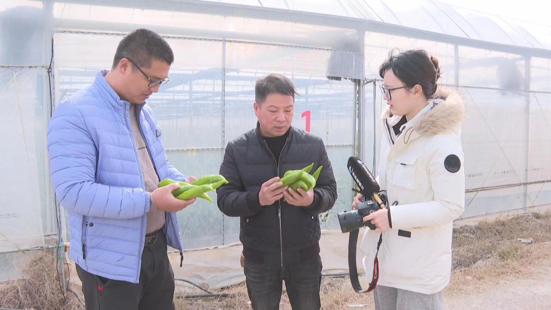 争优!争先!争效!来这里享受向往的生活! 争优!争先!争效!来这里享受向往的生活!