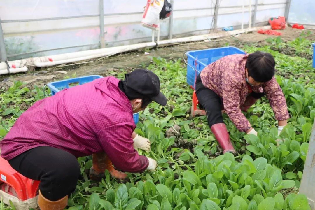 争优!争先!争效!来这里享受向往的生活! 争优!争先!争效!来这里享受向往的生活!