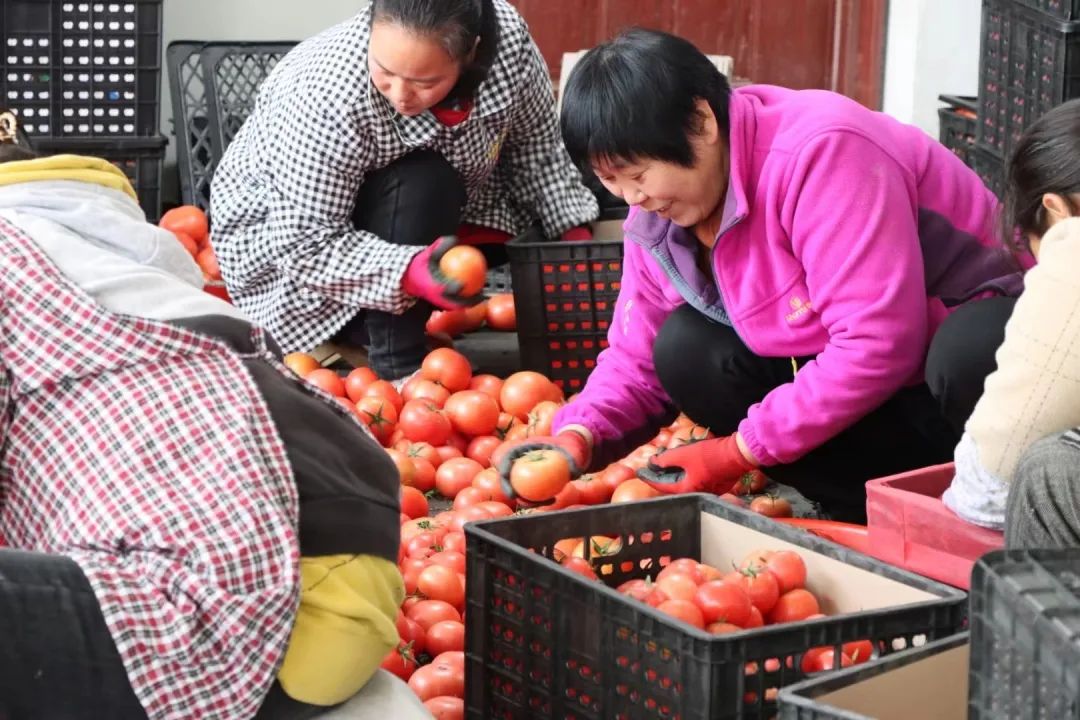 争优!争先!争效!来这里享受向往的生活! 争优!争先!争效!来这里享受向往的生活!