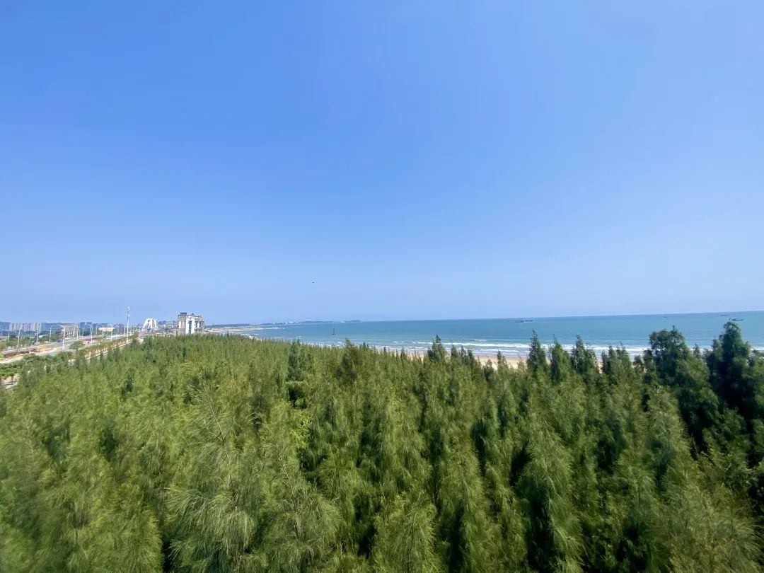 五一开放运营!长乐5.2公里沙尾海滩拟“大整容”! 五一开放运营!长乐5.2公里沙尾海滩拟“大整容”!