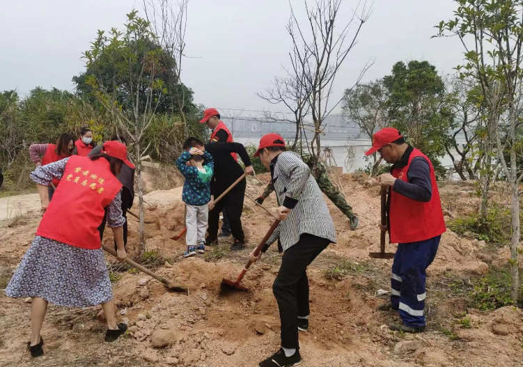 “植”此青绿,在长乐我们这样拥抱春天...... “植”此青绿,在长乐我们这样拥抱春天......