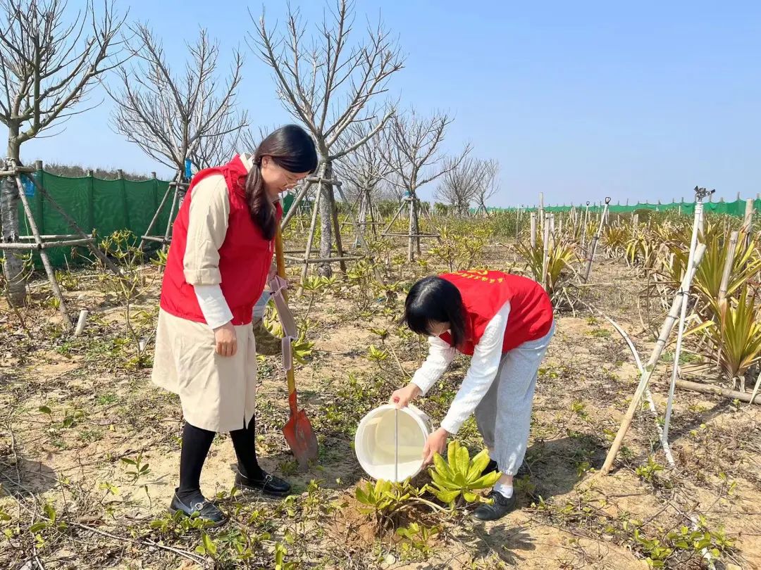 “植”此青绿,在长乐我们这样拥抱春天...... “植”此青绿,在长乐我们这样拥抱春天......