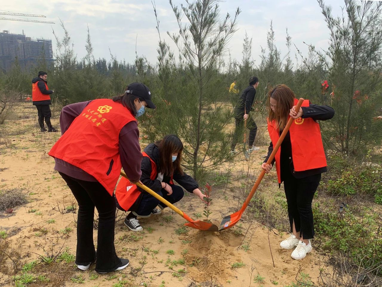 “植”此青绿,在长乐我们这样拥抱春天...... “植”此青绿,在长乐我们这样拥抱春天......
