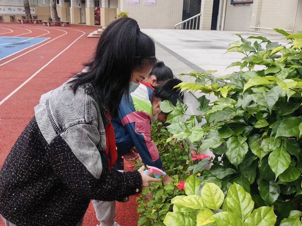 “植”此青绿,在长乐我们这样拥抱春天...... “植”此青绿,在长乐我们这样拥抱春天......