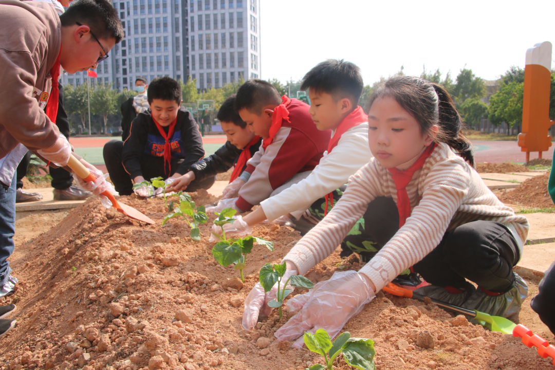“植”此青绿,在长乐我们这样拥抱春天...... “植”此青绿,在长乐我们这样拥抱春天......