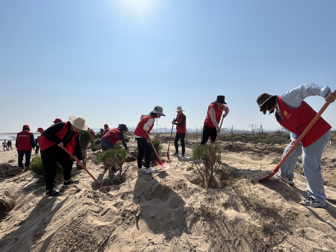 “植”此青绿,在长乐我们这样拥抱春天...... “植”此青绿,在长乐我们这样拥抱春天......