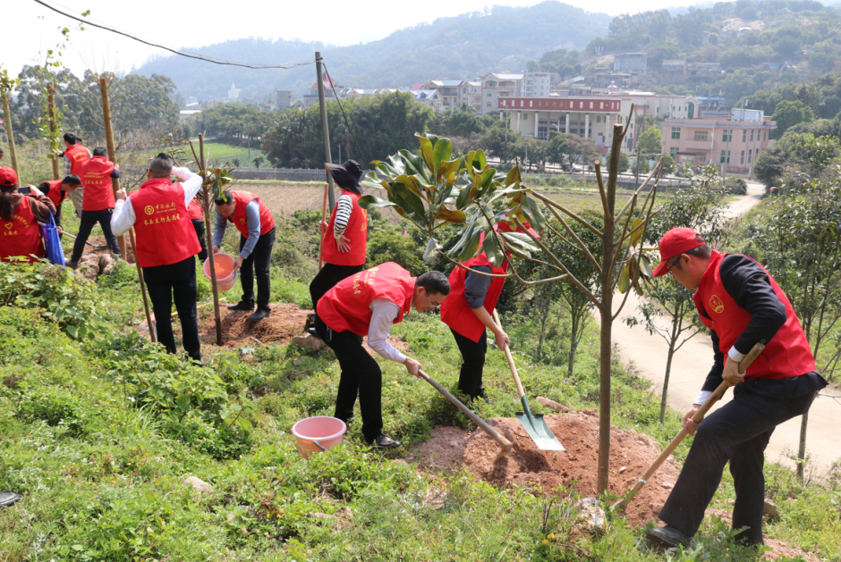 “植”此青绿,在长乐我们这样拥抱春天...... “植”此青绿,在长乐我们这样拥抱春天......