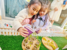 “植”此青绿,在长乐我们这样拥抱春天...... “植”此青绿,在长乐我们这样拥抱春天......