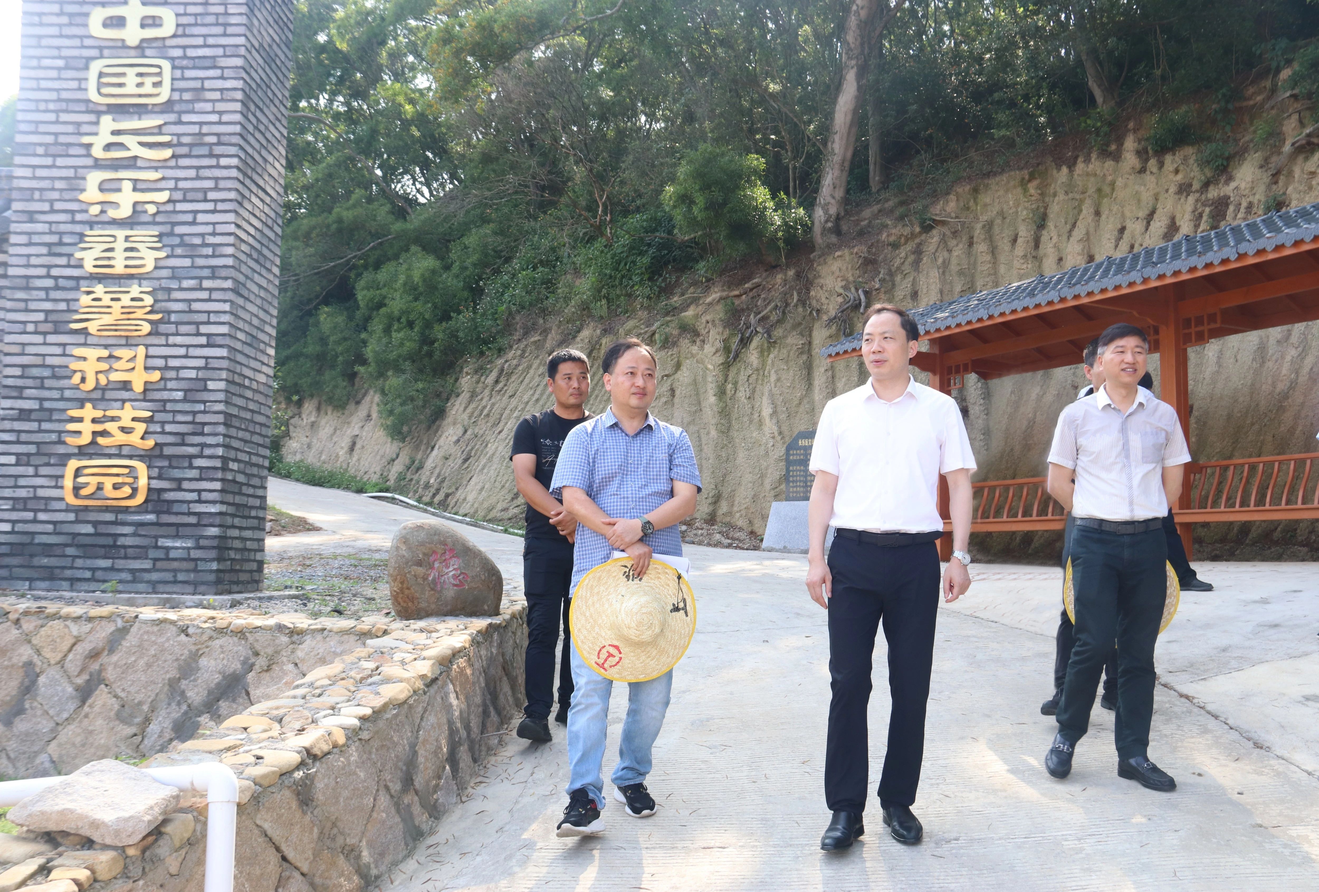 区政府领导赴文岭镇调研 区政府领导赴文岭镇调研