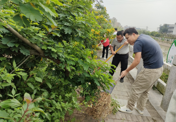 水更清,景更美!长乐加快全域水系综合治理,做活“水文章”! 水更清,景更美!长乐加快全域水系综合治理,做活“水文章”!