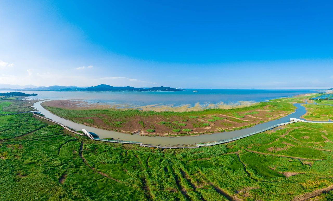 居全省首位!闽江河口湿地走向国际 居全省首位!闽江河口湿地走向国际