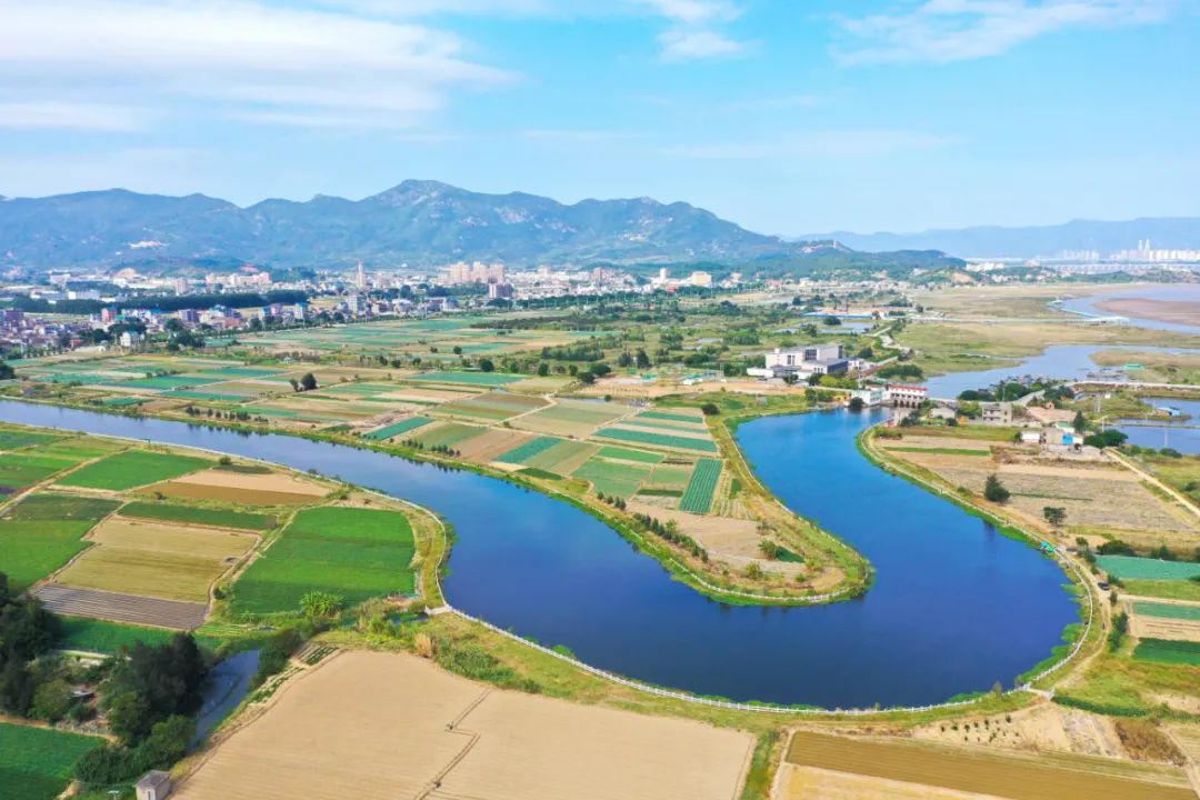 居全省首位!闽江河口湿地走向国际 居全省首位!闽江河口湿地走向国际