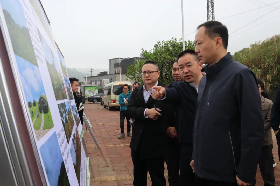 区领导调研乡村振兴暨春耕备耕工作 区领导调研乡村振兴暨春耕备耕工作