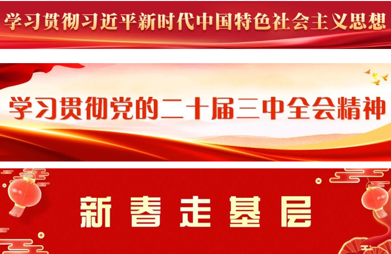 区领导走访慰问某部队 区领导走访慰问某部队