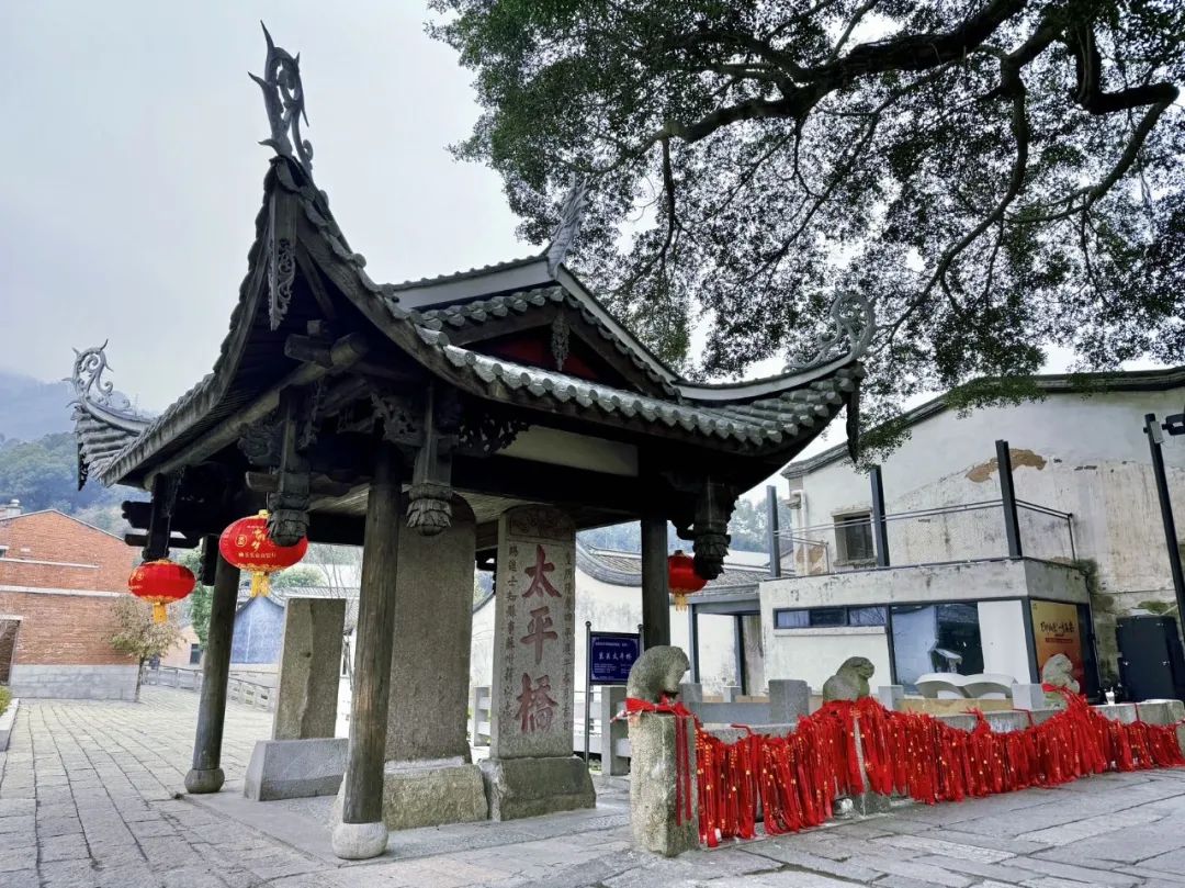 探寻“一生长乐”的幸福密码 探寻“一生长乐”的幸福密码