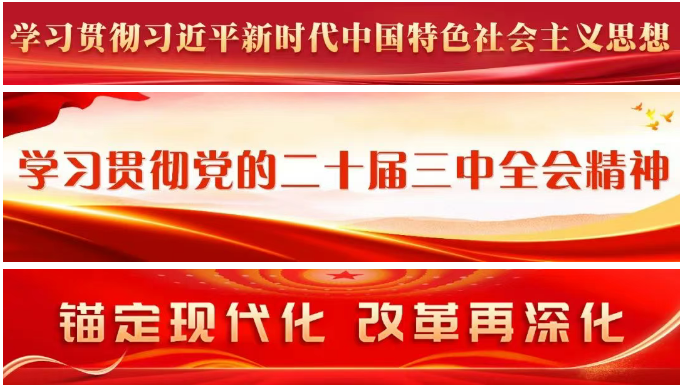 区领导走访服务部分重点外贸企业 区领导走访服务部分重点外贸企业